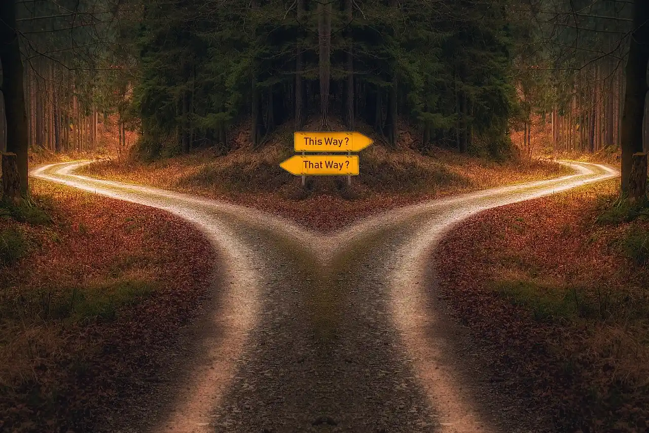 Graphic of one road splitting into two directions